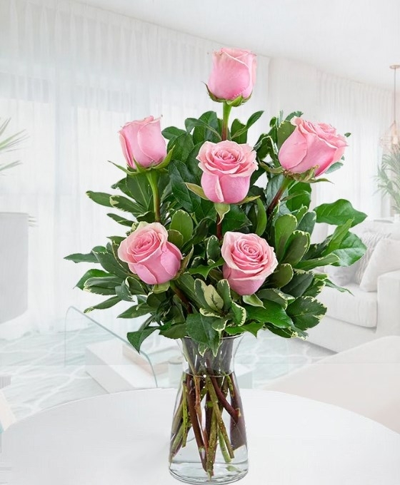 Ramo de 6 Rosas Rosadas para regalo